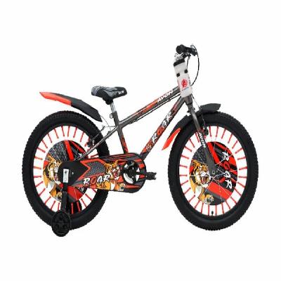 Ridervx-20' Kids Bicycle (Avon)