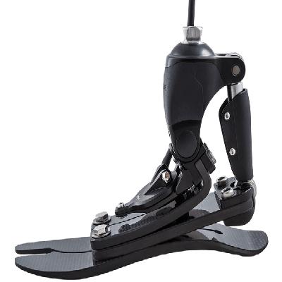 Prosthetic Foot Devices