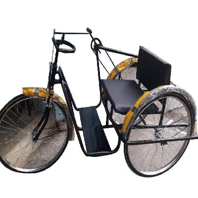 Manual Handicapped Tricycle