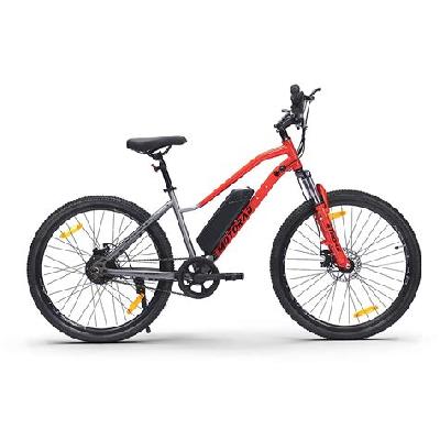 Electric cycle