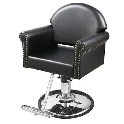 Beauty Saloon Chair