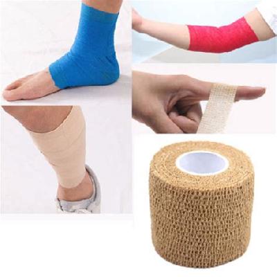 Elastic Adhesive Bandage