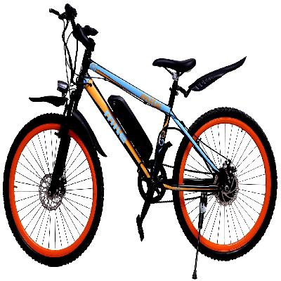 E-Bike Go Zero One