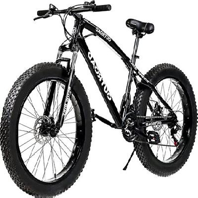 Prince Tyres Cycle