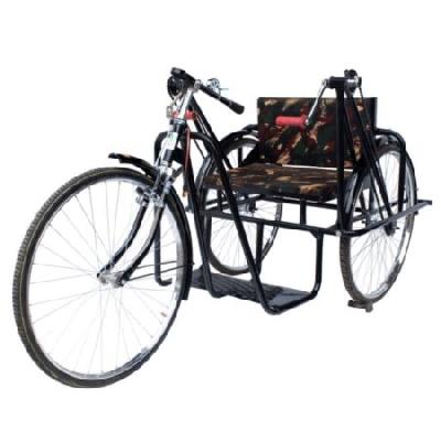 Handicapped Single Gear Tricycle