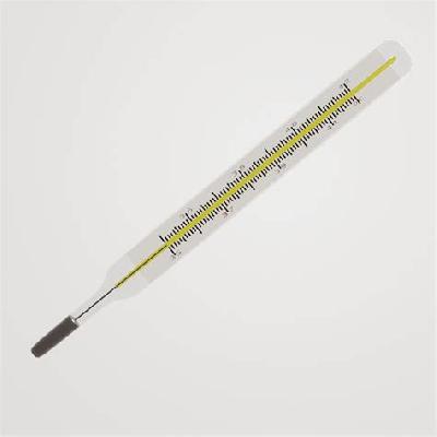 Mercury Type Thermometer