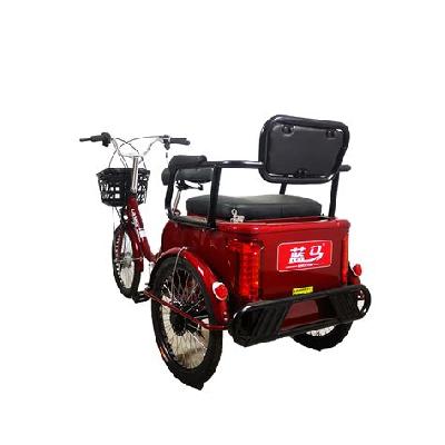 20 Inch Handicapped Tricycle