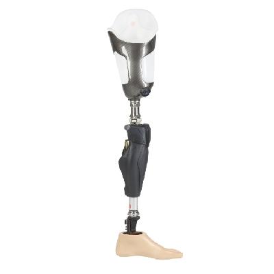 PP Prosthesis Leg