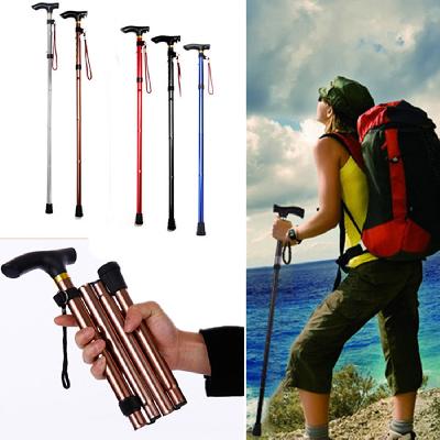 Walking Sticks