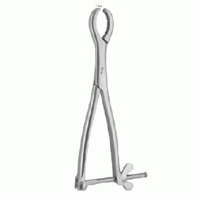 10 Inch Heygroves Bone Holding Forceps