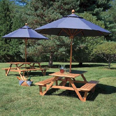 Picnic Table with Umbrella