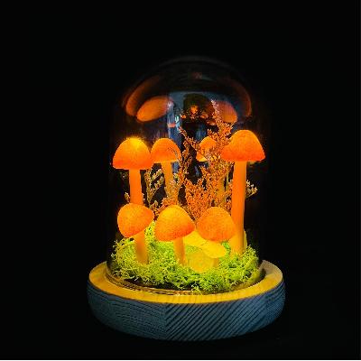 D0239_Night Light Mushroom Lamp