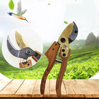 Shears Gardening Cut Tools