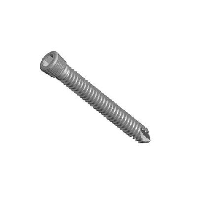 Locking Head Screw