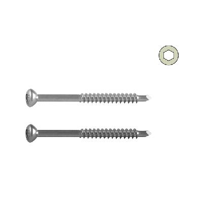 Malleolar Screw 4.5mm