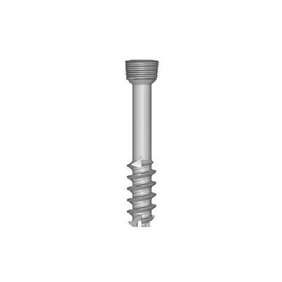 Arthroscopy Cancellous Cannulated Screws