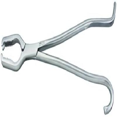 Lane Bone Holding Forceps