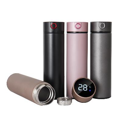 Temperature Water Bottle