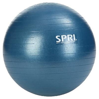 Gym Exercise Ball