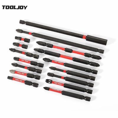 Double End Magnetic Bit Set