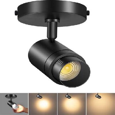 LED Spot Light