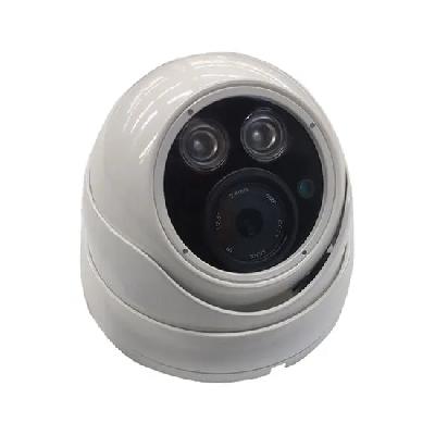 Infrared Sensor Dome Wireless Security Camera