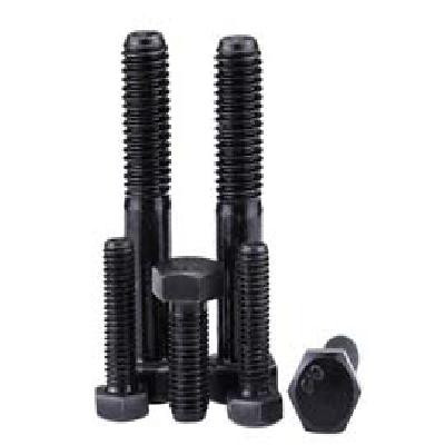 A 307 Hex Bolt