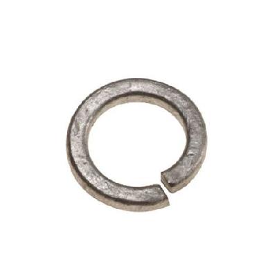 Square - Section Spring Washer
