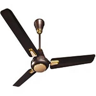 CROMPTON Caliber HI Speed (Bakers Brown)