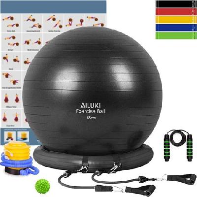 Exercise Gym Ball 65cm With Pump, Anti- Slip Balance Stability Exercise Ball