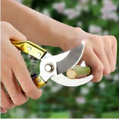 Garden Shears Pruners Scissor (8 inch)