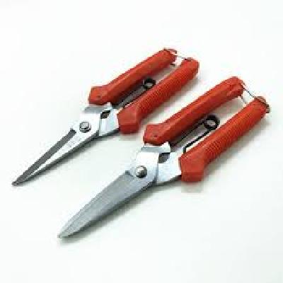 Korean Technology Scissor