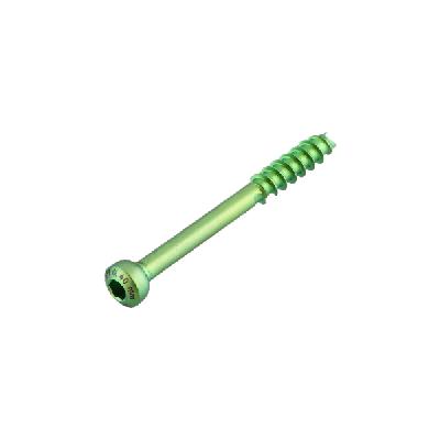 Cannulated Cancellous Screws