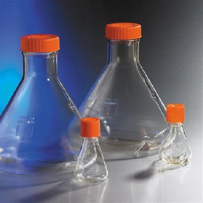 Erlenmeyer Flask