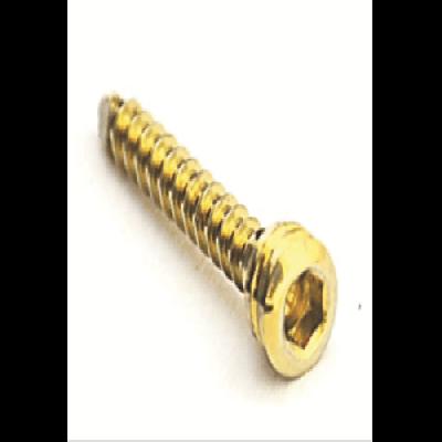 Mini Bone Screws Slotted Head