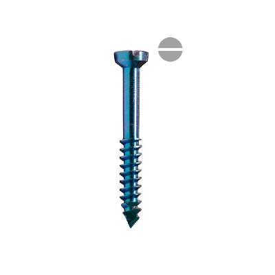 Titanium Lag Screws