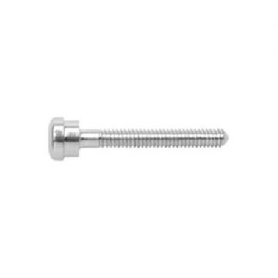 Titanium Richards Screw DHS With Top Screw
