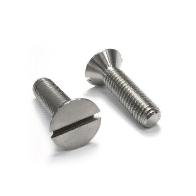 Titanium Screws Slotted Heads