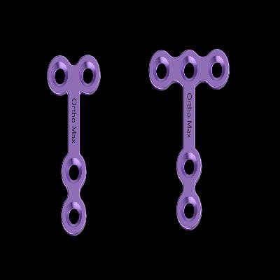 5 Hole T-Shape Plates