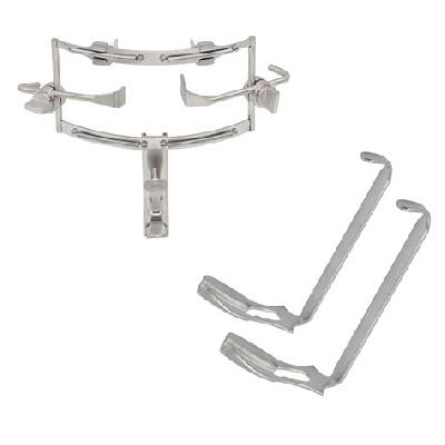 Dingman Mouth Adult Gag
