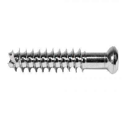 SS Bone Screws