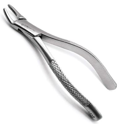 Dental Extraction Forceps
