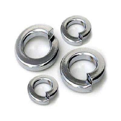 SS Spring Washer