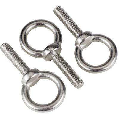 Stainless Steel Eye Bolt