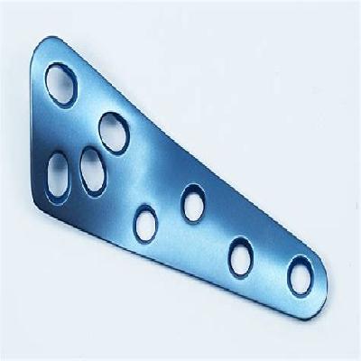 Titanium Delta Plates