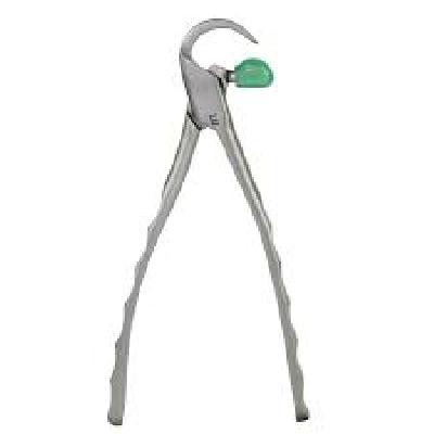 Physics Forceps Standard Series