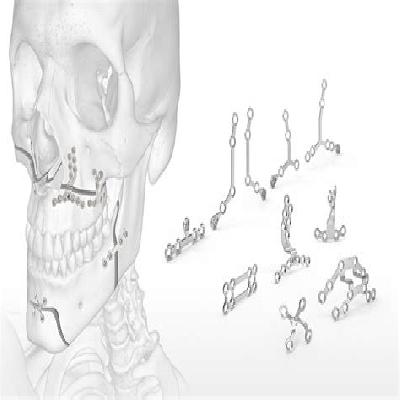 Mesh Plate