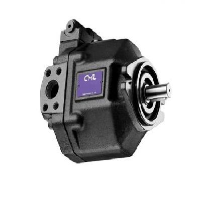 V Series Axial Piston Pump