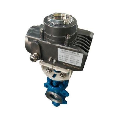 Drive Motor With Butterfly Flap