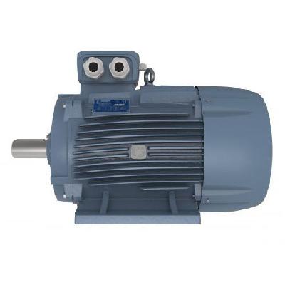 Delphi Series Motors (AC Motors)